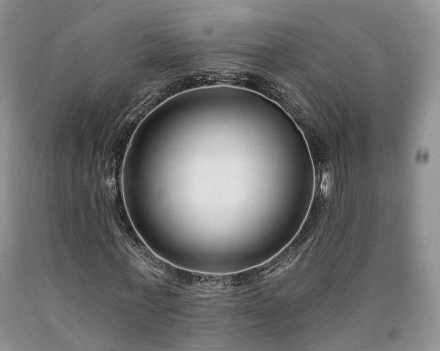X0000090460771200707201333