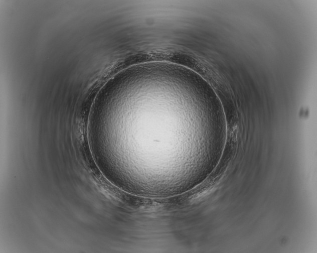 X0000090460772200707201333