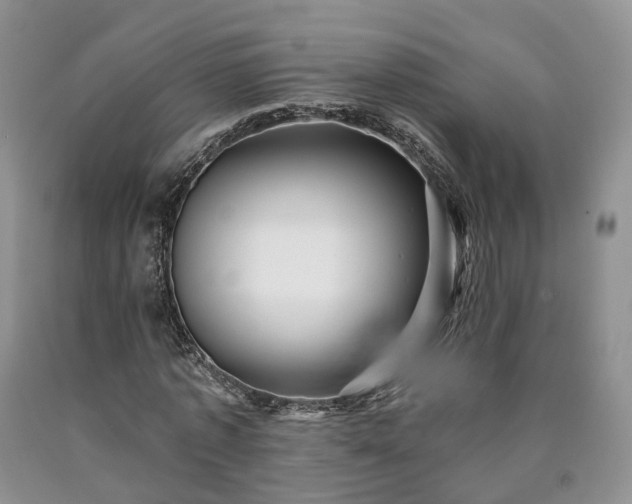 X0000090460773200707201333