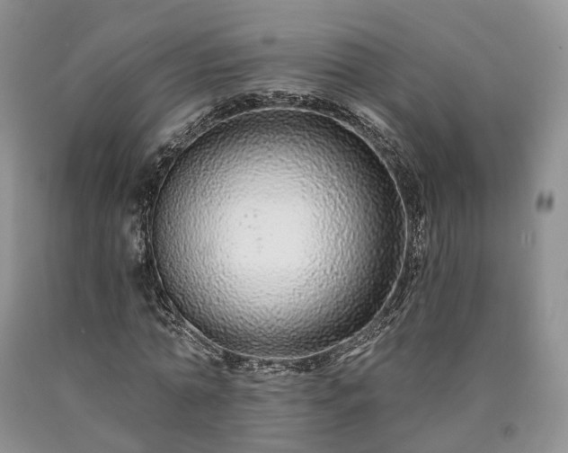 X0000090460774200707201333