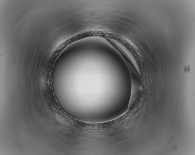 X0000090460775200707201333