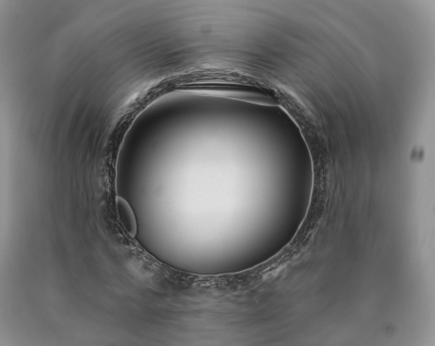 X0000090460776200707201333