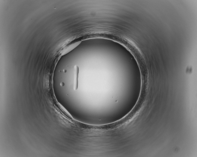 X0000090460777200707201333