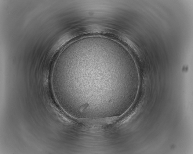 X0000090460778200707201333