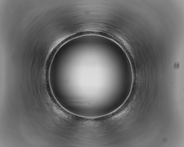 X0000090460779200707201333