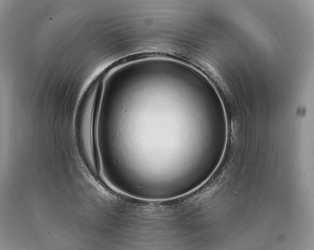 X0000090460780200707201333