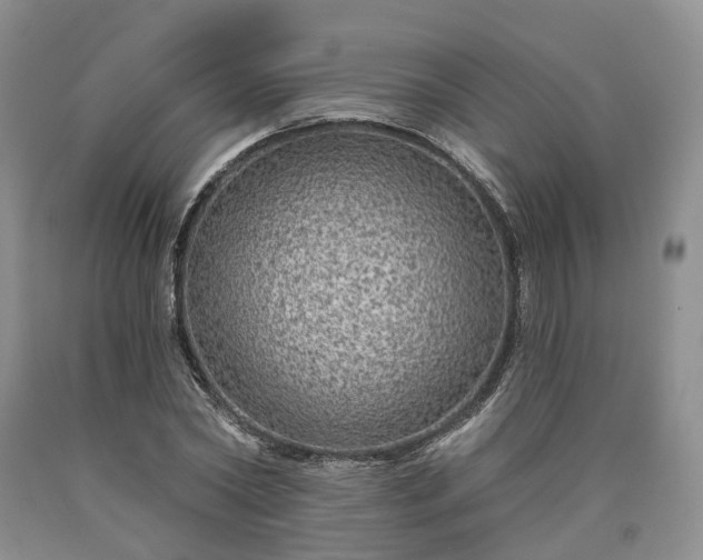 X0000090460782200707201333