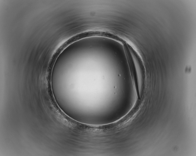X0000090460783200707201333