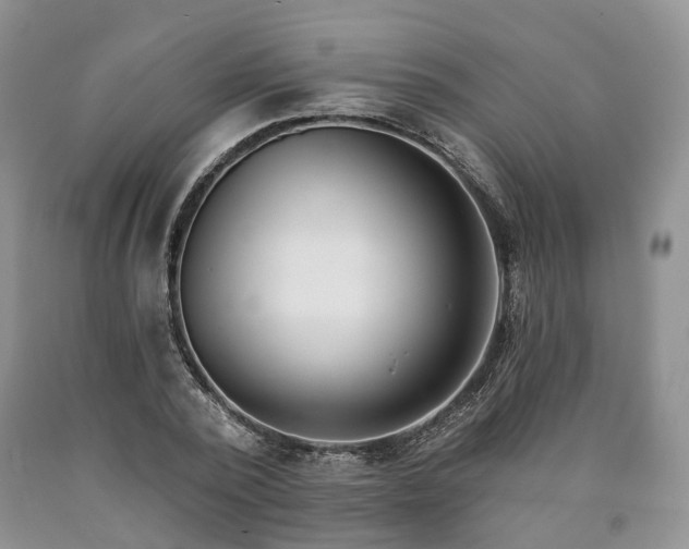 X0000090460784200707201333