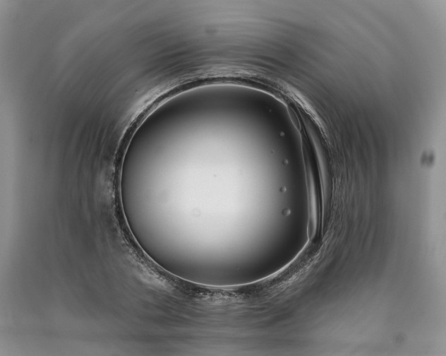 X0000090460786200707201333