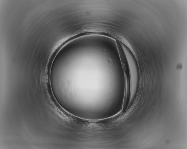 X0000090460787200707201333