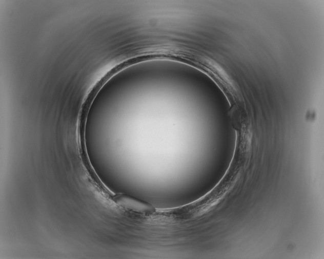 X0000090460788200707201333