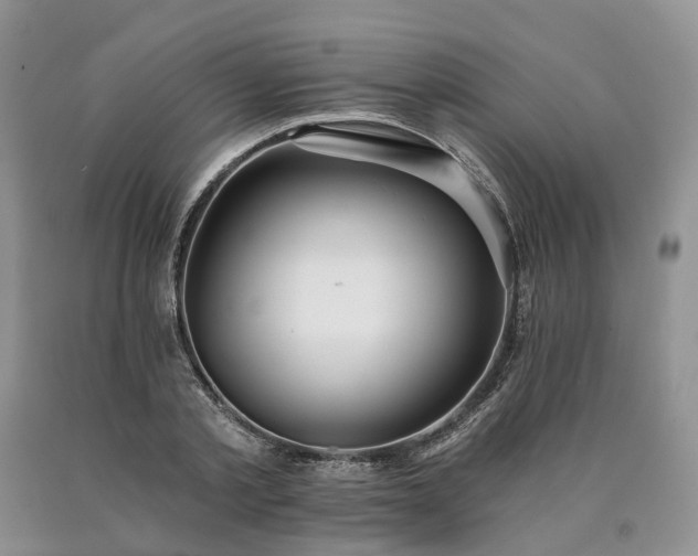 X0000090460789200707201333