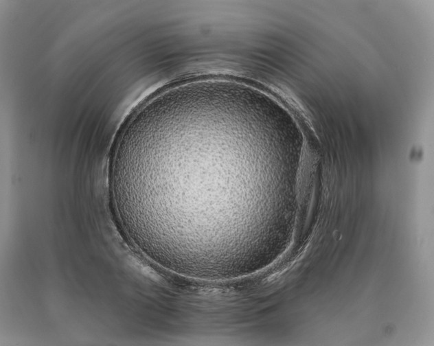 X0000090460790200707201333