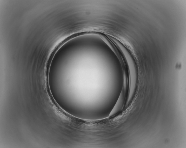 X0000090460792200707201333