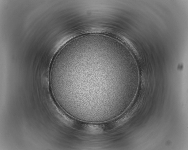 X0000090460794200707201333