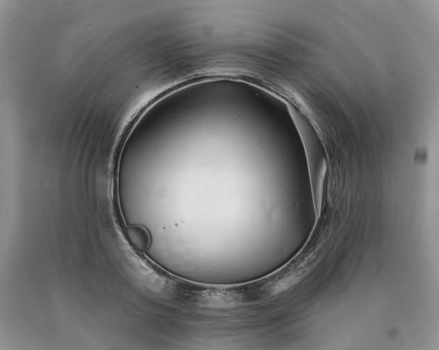 X0000090460795200707201333