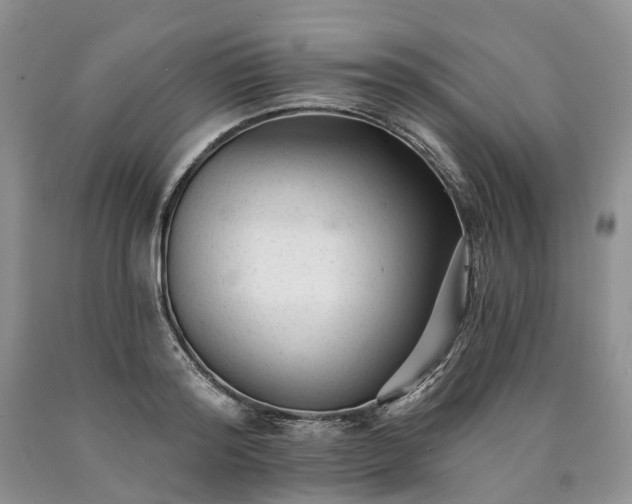 X0000090460796200707201333