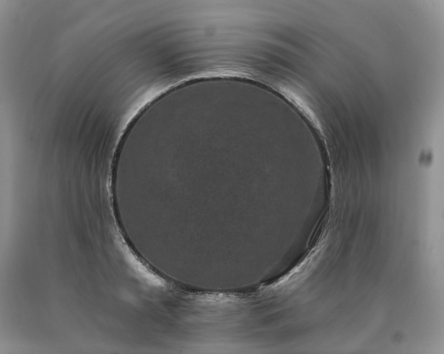 X0000090460797200707201333