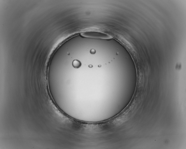 X0000090460800200707201333