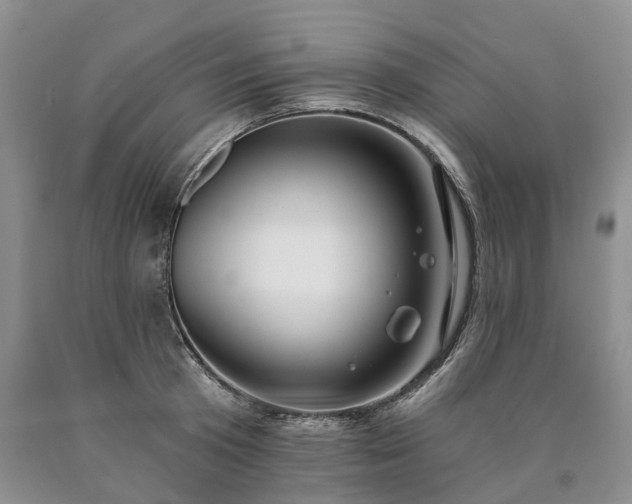 X0000090460801200707201333