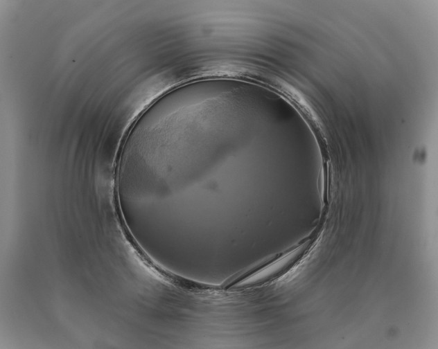 X0000090460802200707201333
