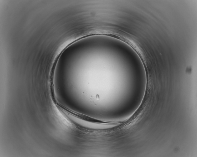 X0000090460803200707201333