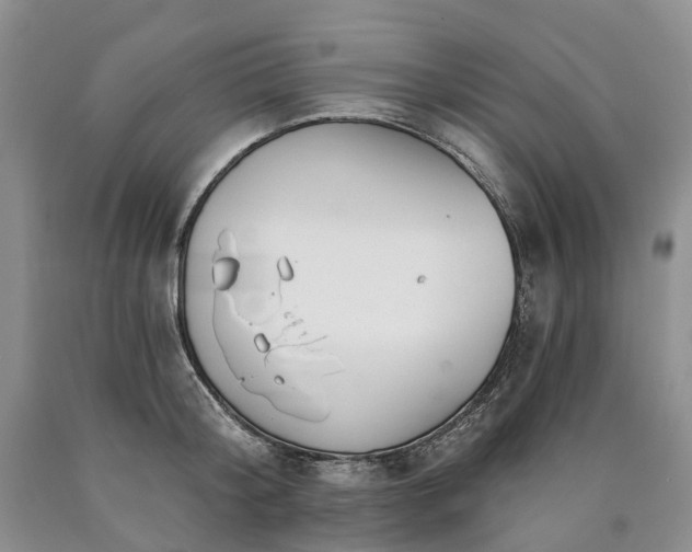 X0000090460804200707201333