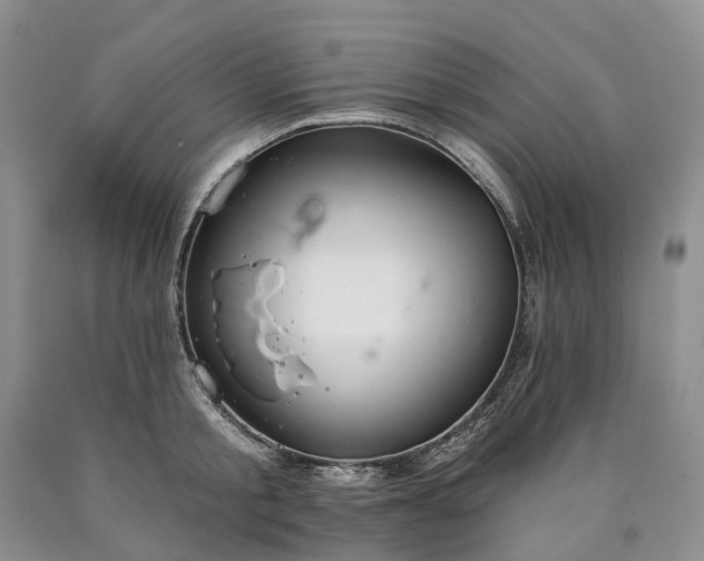 X0000090460805200707201333