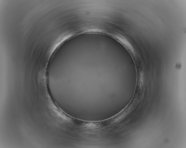 X0000090460806200707201333