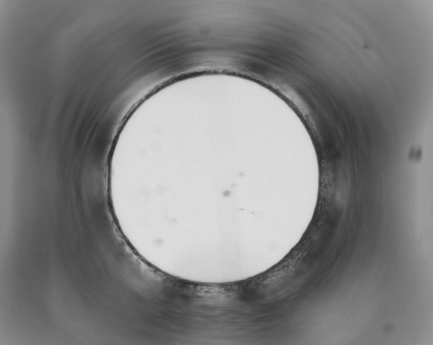 X0000090460807200707201333
