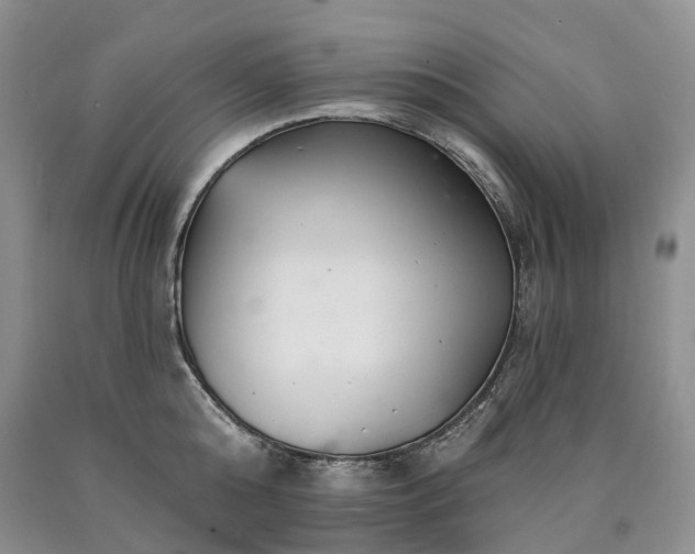 X0000090460808200707201333