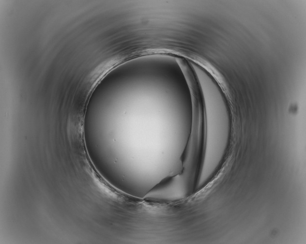X0000090460809200707201333