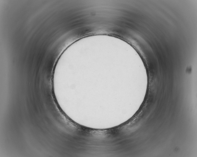 X0000090460810200707201333