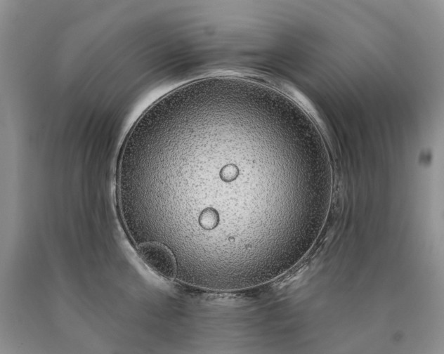X0000090460811200707201333