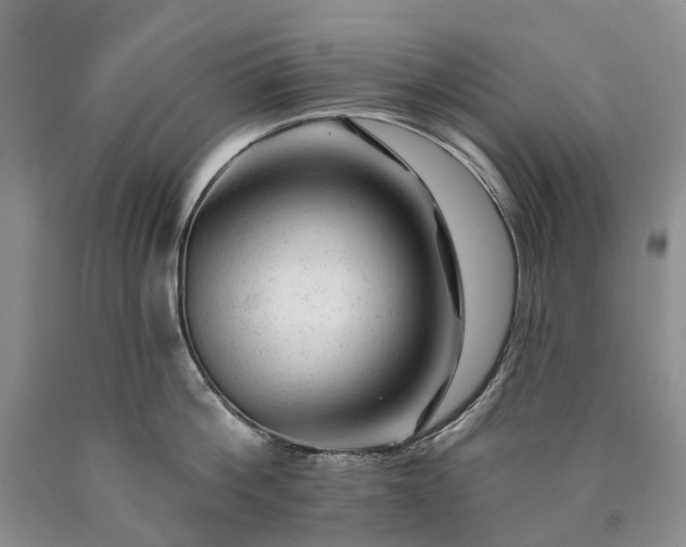 X0000090460812200707201333