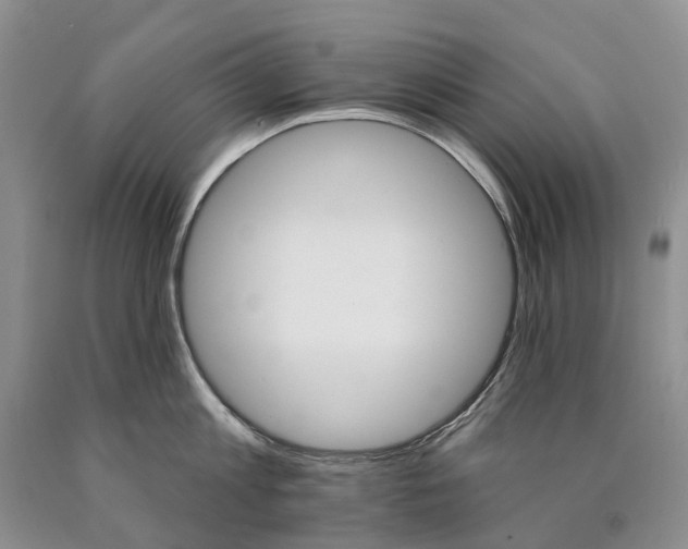 X0000090460813200707201333