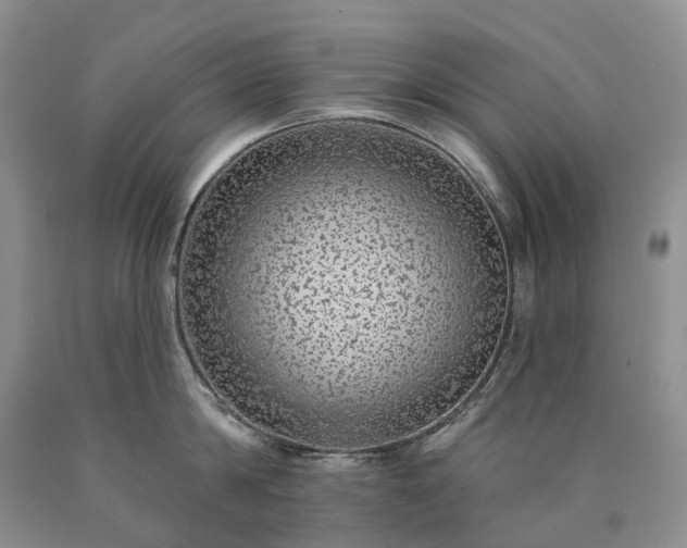X0000090460814200707201333