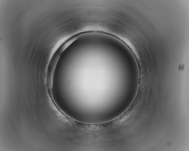 X0000090460815200707201333