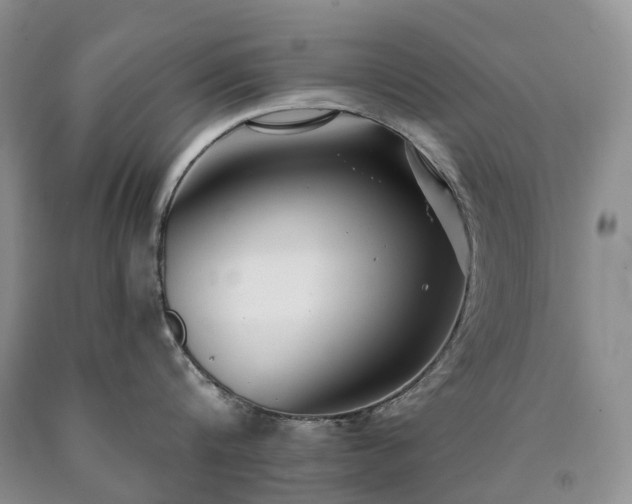 X0000090460816200707201333