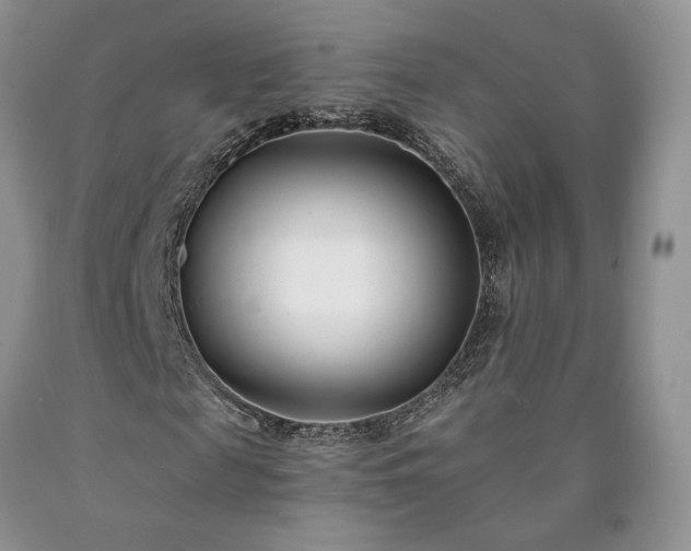 X0000090460817200707201332