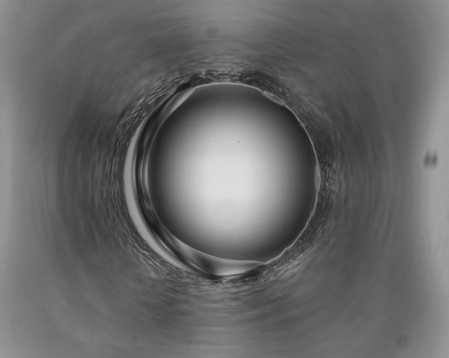 X0000090460818200707201332