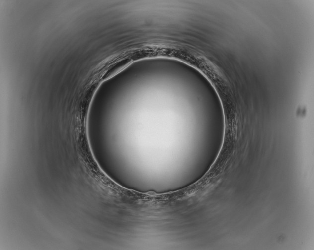 X0000090460821200707201332
