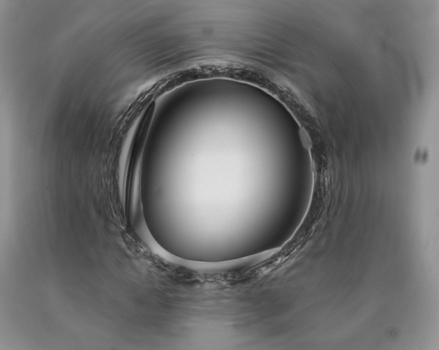 X0000090460822200707201332