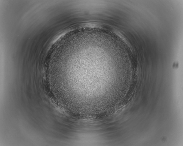 X0000090460823200707201332