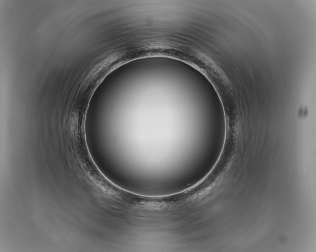 X0000090460825200707201332