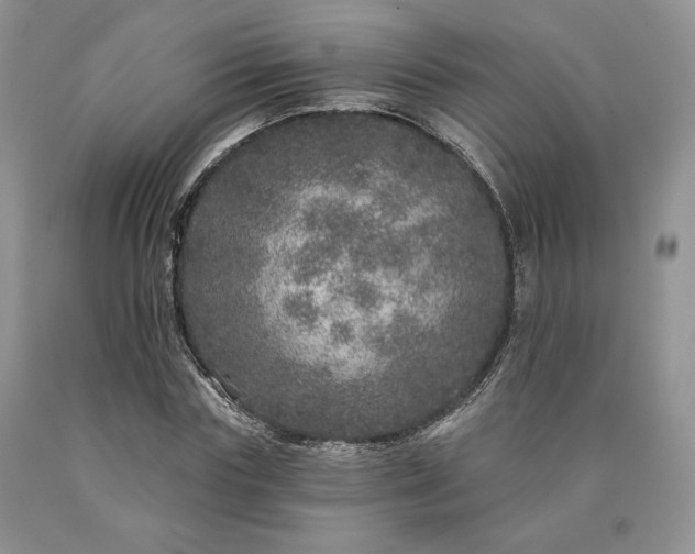 X0000090460827200707201332