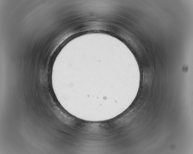 X0000090460828200707201332