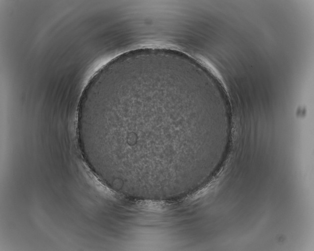 X0000090460831200707201332