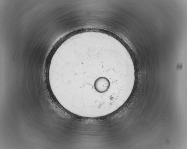 X0000090460832200707201332